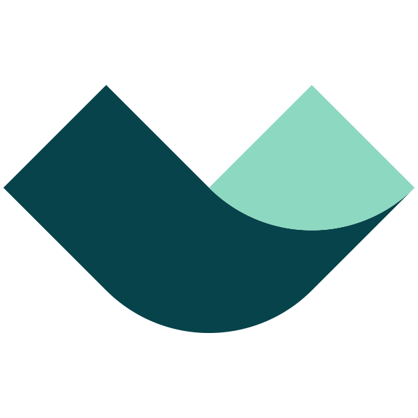 Vieri AS favicon logo